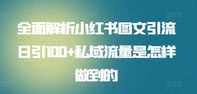全面解析小红书图文引流日引100+私域流量是怎样做到的【揭秘】-生财有道