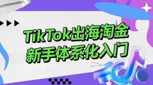 TikTok出海淘金，新手体系化入门，零基础快速入门，掌握短视频、直播带货等引流到变现的知识-生财有道