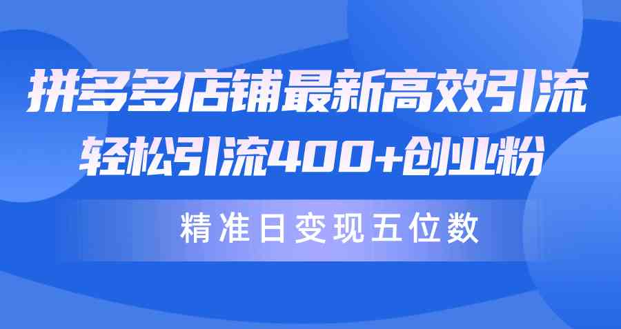 （10041期）拼多多店铺最新高效引流术，轻松引流400+创业粉，精准日变现五位数！-生财有道