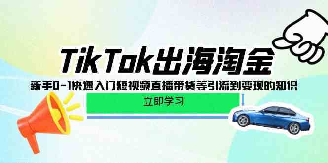 TikTok出海淘金，新手0-1快速入门短视频直播带货等引流到变现的知识-生财有道