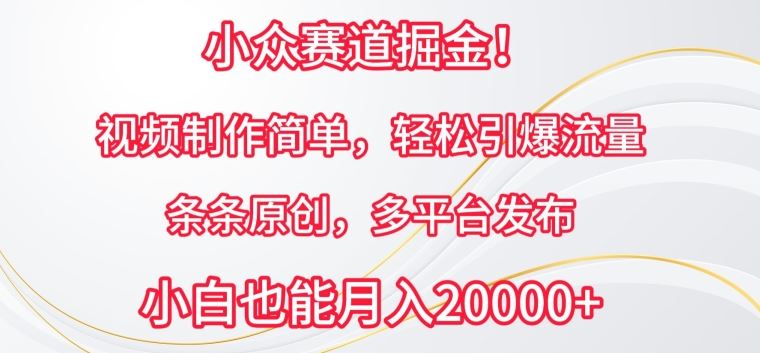 小众赛道掘金，视频制作简单，轻松引爆流量，条条原创，多平台发布【揭秘】-生财有道