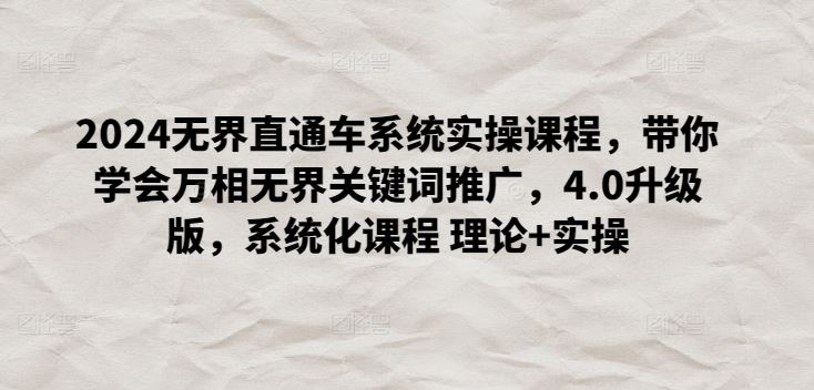 2024无界直通车系统实操课程，带你学会万相无界关键词推广，4.0升级版，系统化课程 理论+实操-生财有道