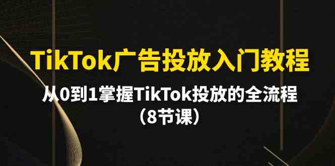 （10085期）TikTok广告投放入门教程，从0到1掌握TikTok投放的全流程（8节课）-生财有道