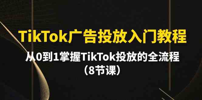 TikTok广告投放入门教程，从0到1掌握TikTok投放的全流程（8节课）-生财有道