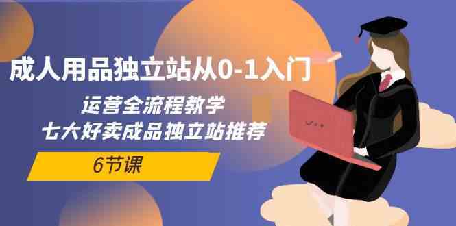 成人用品独立站从0-1入门，运营全流程教学，七大好卖成品独立站推荐（6节课）-生财有道