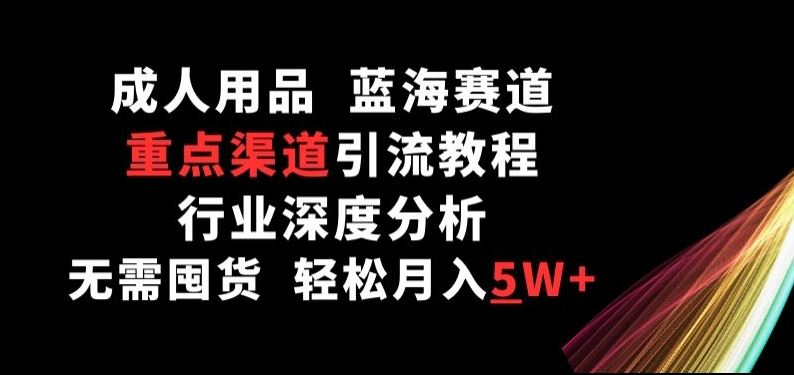 成人用品，蓝海赛道，重点渠道引流教程，行业深度分析，无需囤货，轻松月入5W+【揭秘】-生财有道