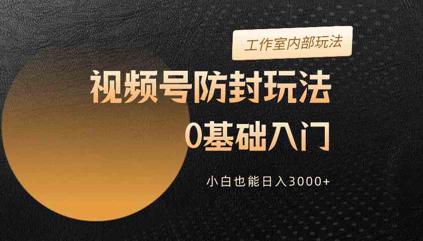 （10107期）2024视频号升级防封玩法，零基础入门，小白也能日入3000+-生财有道