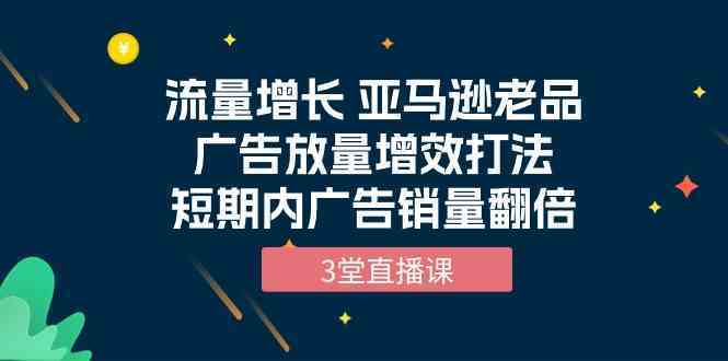 流量增长 亚马逊老品广告放量增效打法，短期内广告销量翻倍（3堂直播课）-生财有道