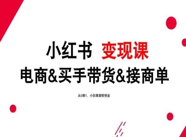 2024年最新小红书变现课，电商&买手带货&接商单，从0到1，小白高效轻创业-生财有道