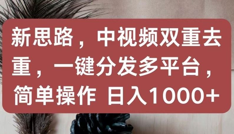 新思路，中视频双重去重，一键分发多平台，简单操作，日入1000+【揭秘】-生财有道
