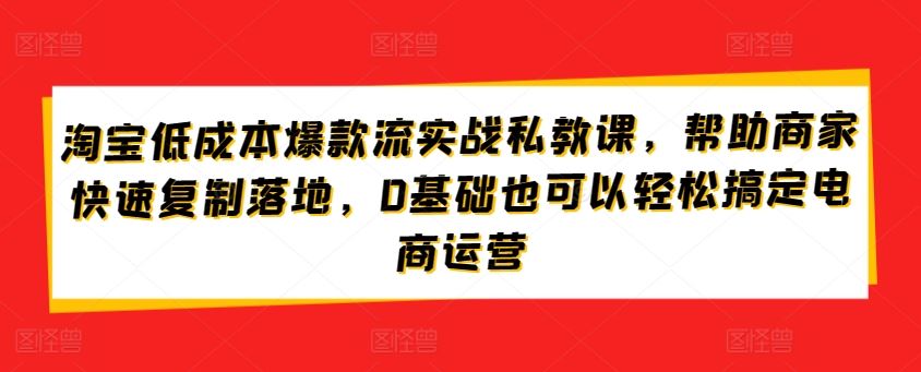 淘宝低成本爆款流实战私教课，帮助商家快速复制落地，0基础也可以轻松搞定电商运营-生财有道