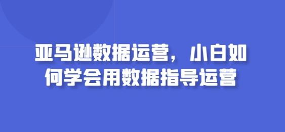 亚马逊数据运营，小白如何学会用数据指导运营-生财有道