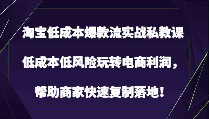 淘宝低成本爆款流实战私教课，低成本低风险玩转电商利润，帮助商家快速复制落地！-生财有道