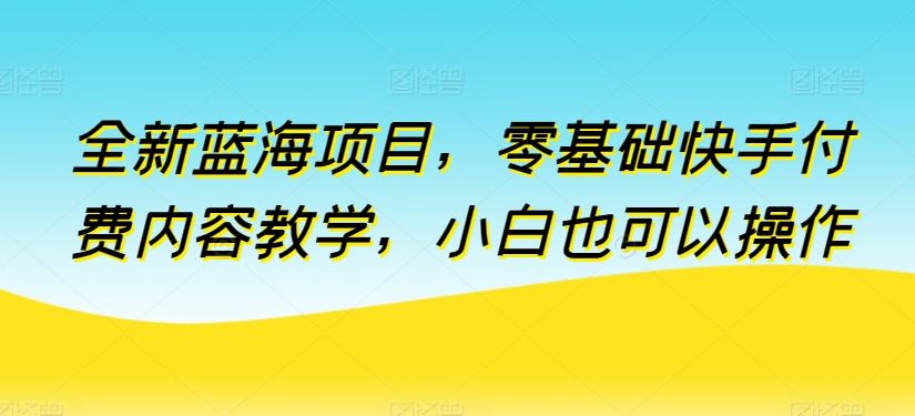 全新蓝海项目，零基础快手付费内容教学，小白也可以操作【揭秘】-生财有道