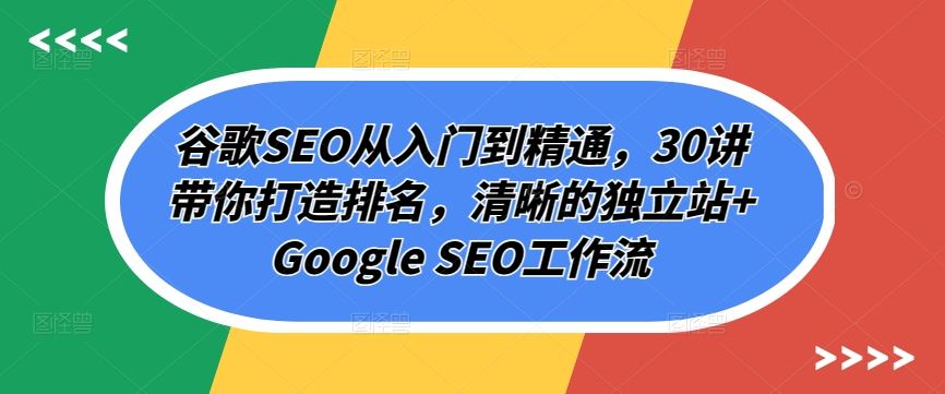 谷歌SEO从入门到精通，30讲带你打造排名，清晰的独立站+Google SEO工作流-生财有道