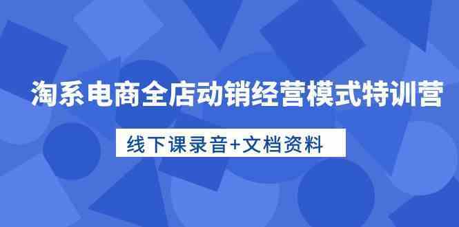 淘系电商全店动销经营模式特训营，线下课录音+文档资料-生财有道