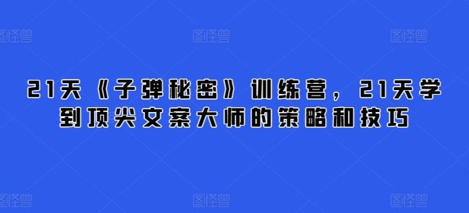 21天《子弹秘密》训练营，21天学到顶尖文案大师的策略和技巧-生财有道