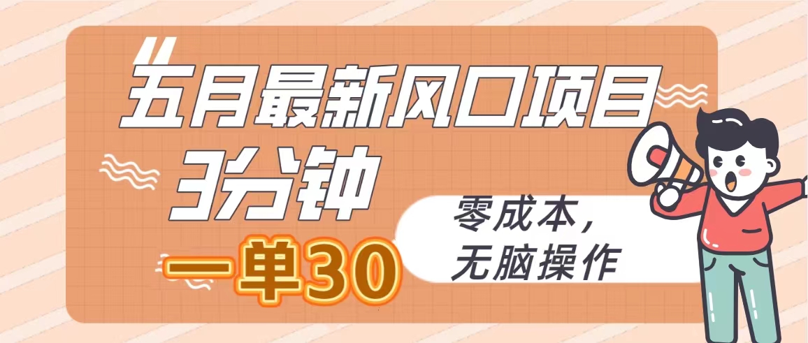 （10256期）五月最新风口项目，3分钟一单30，零成本，无脑操作-生财有道