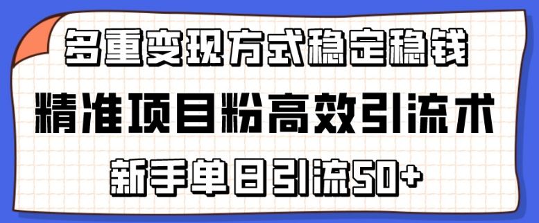 精准项目粉高效引流术，新手单日引流50+，多重变现方式稳定赚钱【揭秘】-生财有道