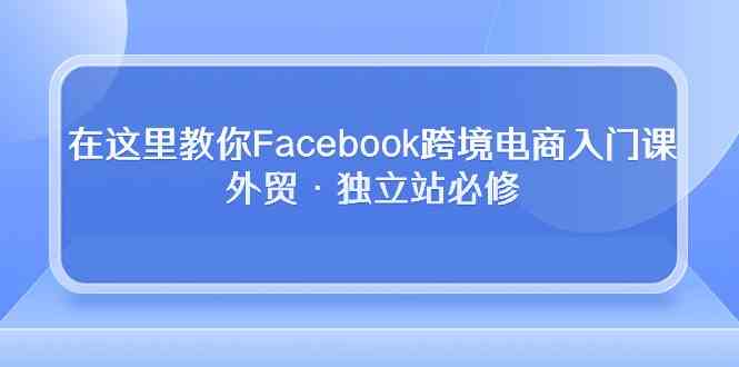 在这里教你Facebook跨境电商入门课，外贸·独立站必修（19节课）-生财有道