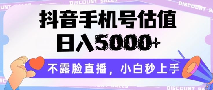 抖音手机号估值，日入5000+，不露脸直播，小白秒上手【揭秘】-生财有道