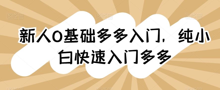新人0基础多多入门，​纯小白快速入门多多-生财有道