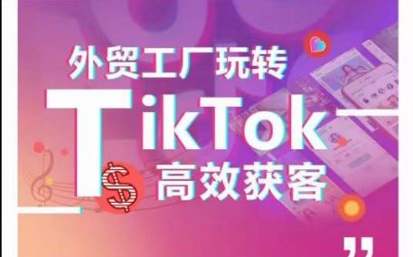 外贸工厂玩转TikTok高效获客，多种引流方式与账号定位技巧，拆解爆款短视频打造成功案例-生财有道