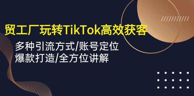 （10302期）外贸工厂玩转TikTok高效获客，多种引流方式/账号定位/爆款打造/全方位讲解-生财有道
