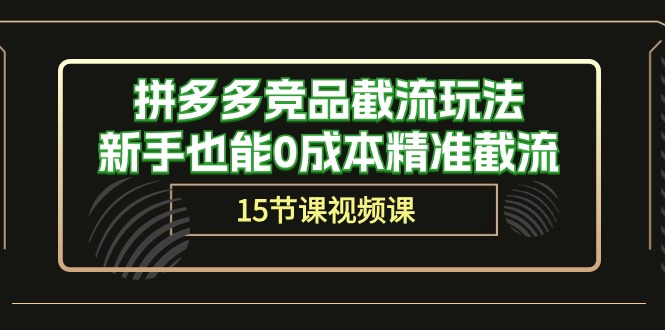 （10301期）拼多多竞品截流玩法，新手也能0成本精准截流（15节课）-生财有道