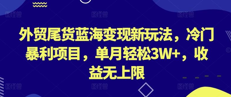 外贸尾货蓝海变现新玩法，冷门暴利项目，单月轻松3W+，收益无上限【揭秘】-生财有道