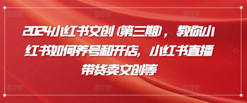 2024小红书文创(第三期)，教你小红书如何养号和开店，小红书直播带货卖文创等-生财有道