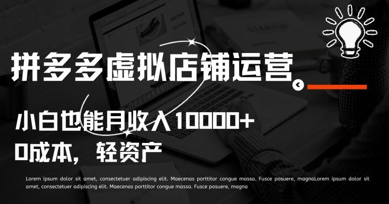 拼多多虚拟店铺运营小白也能月收入10000+【揭秘】-生财有道