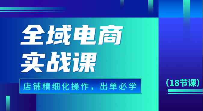 全域电商实战课，个人店铺精细化操作流程，出单必学内容（18节课）-生财有道