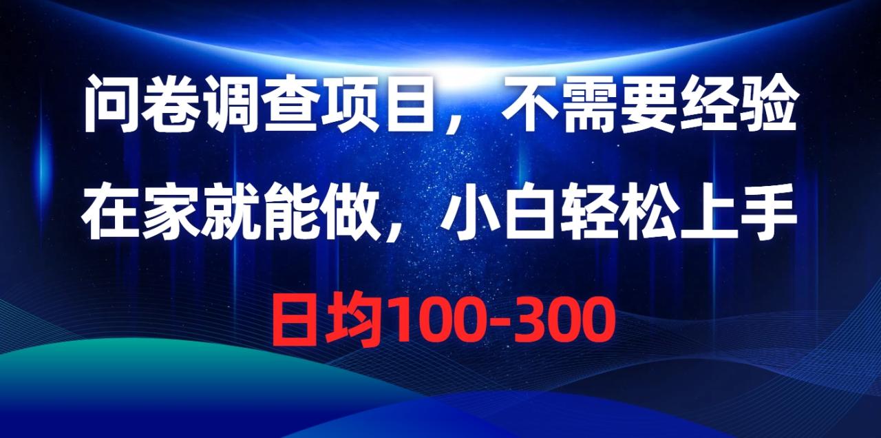 （10402期）问卷调查项目，不需要经验，在家就能做，小白轻松上手，日均100-300-生财有道