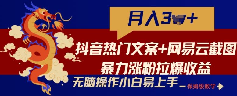 抖音热门文案+网易云截图暴力涨粉拉爆收益玩法，小白无脑操作，简单易上手【揭秘】-生财有道