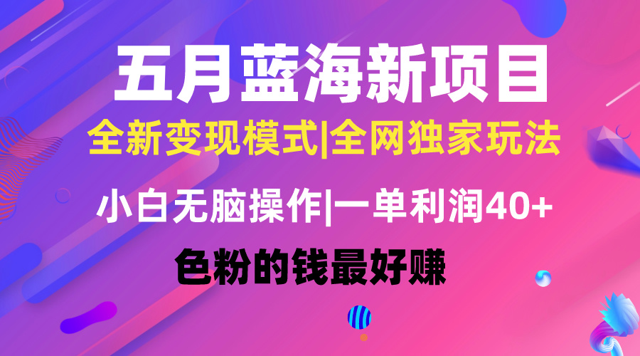 （10477期）五月蓝海项目全新玩法，小白无脑操作，一天几分钟，矩阵操作，月入4万+-生财有道