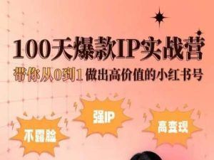 小红书100天爆款IP实战营，带你从0到1做出高价值的小红书号-生财有道