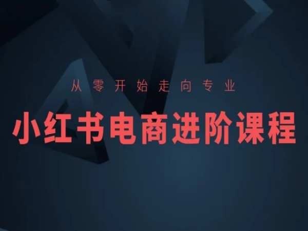 从零开始走向专业，小红书电商进阶课程-生财有道