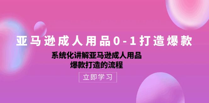 （10493期）亚马逊成人用品0-1打造爆款：系统化讲解亚马逊成人用品爆款打造的流程-生财有道