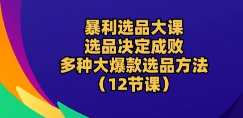 暴利选品大课：选品决定成败，教你多种大爆款选品方法(12节课)-生财有道