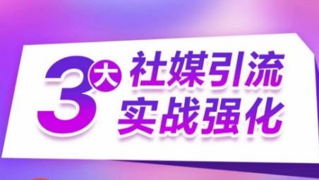 3大社媒引流实战强化，多渠道站外引流，高效精准获客，订单销售额翻倍增长-生财有道