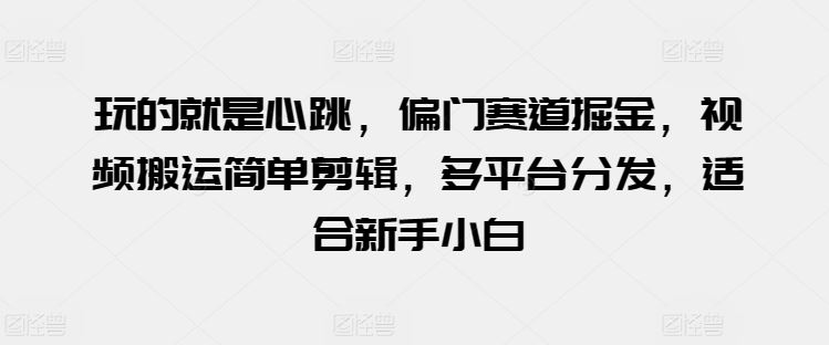 玩的就是心跳，偏门赛道掘金，视频搬运简单剪辑，多平台分发，适合新手小白【揭秘】-生财有道