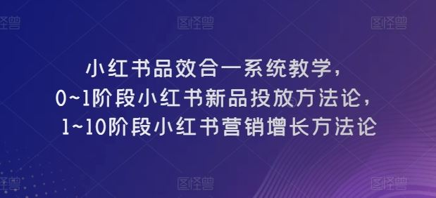 小红书品效合一系统教学，​0~1阶段小红书新品投放方法论，​1~10阶段小红书营销增长方法论-生财有道