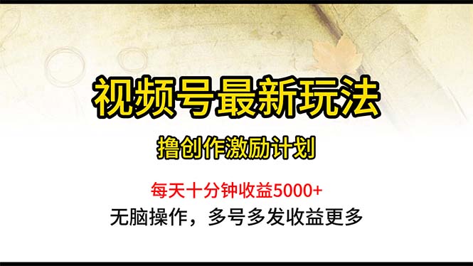 （10591期）视频号最新玩法，每日一小时月入5000+-生财有道