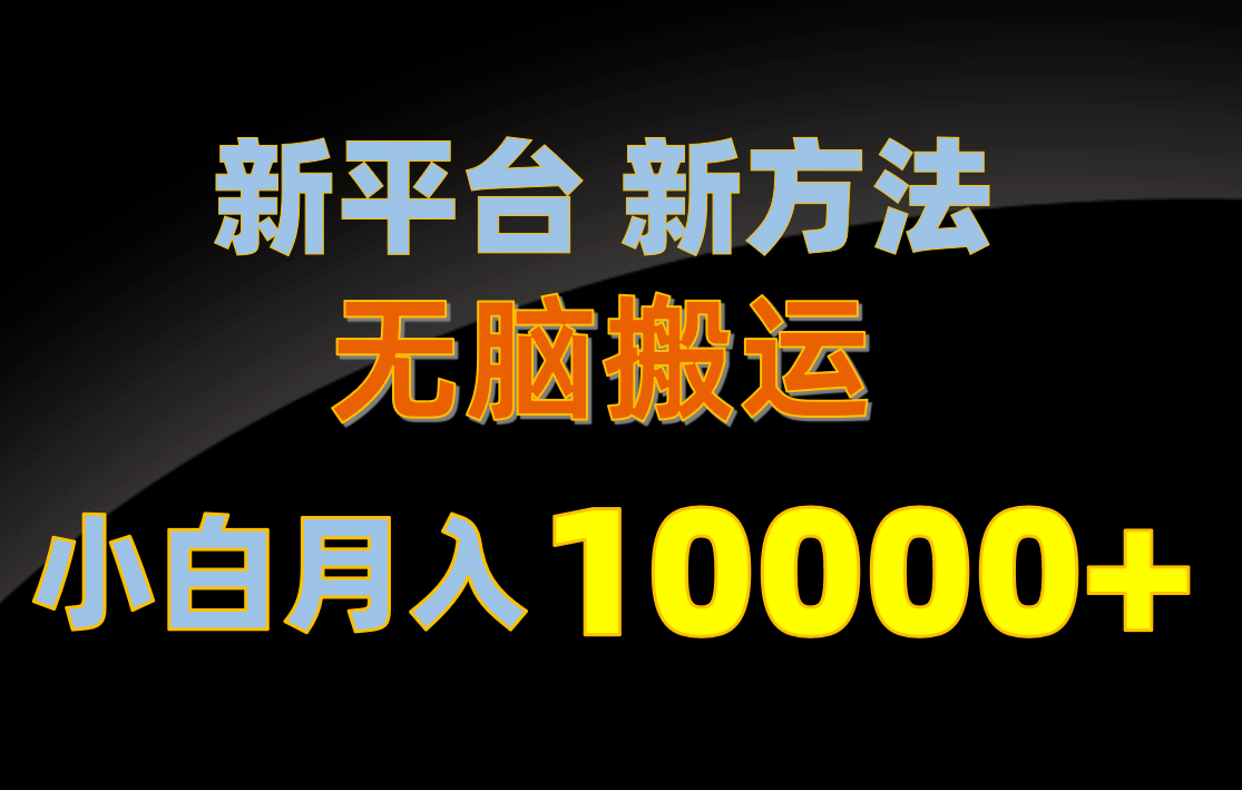 （10605期）新平台新方法，无脑搬运，月赚10000+，小白轻松上手不动脑-生财有道