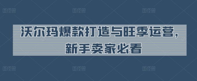 沃尔玛爆款打造与旺季运营，新手卖家必看-生财有道