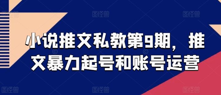 小说推文私教第9期，推文暴力起号和账号运营-生财有道