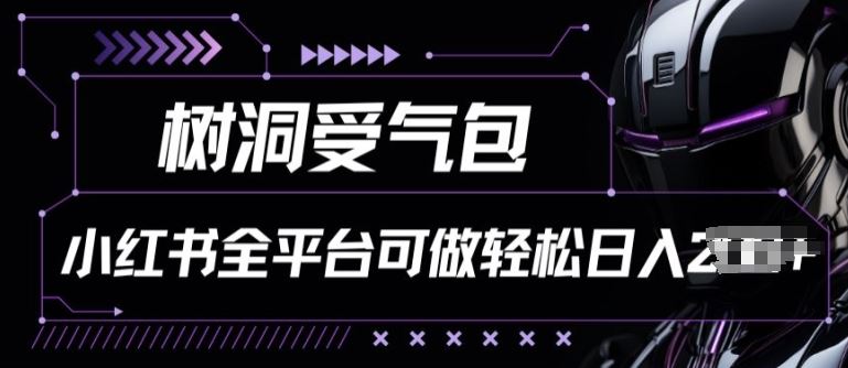 小红书等全平台树洞受气包项目，轻松日入一两张【揭秘】-生财有道