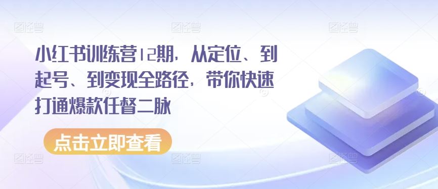 小红书训练营12期，从定位、到起号、到变现全路径，带你快速打通爆款任督二脉-生财有道
