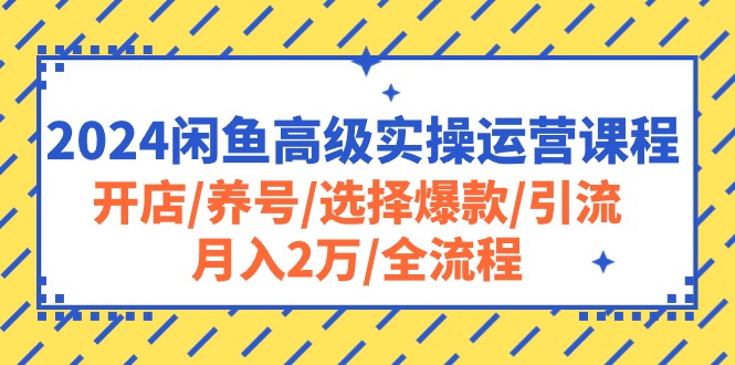 （10711期）2024闲鱼高级实操运营课程：开店/养号/选择爆款/引流/月入2万/全流程-生财有道